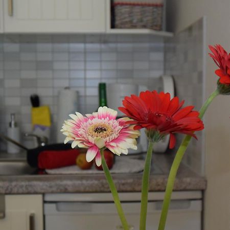 Ferienapartments Urlaub Und Meer Kuehlungsborn Room photo